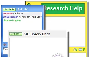 Example website live chat widgets