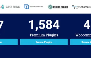 Themes & Plugins counter