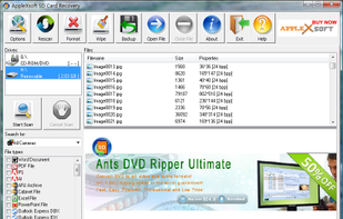 AppleXsoft SD Card Recovery screenshot 1