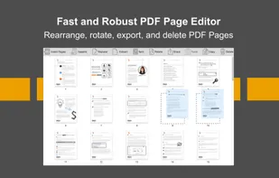 PDF Page Editor Pro Edition screenshot 1