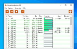 MegaDownloader screenshot 1