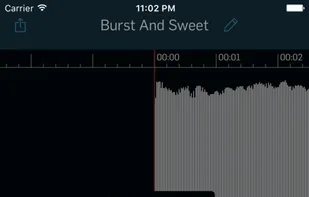 WireTap Riff Recorder screenshot 3