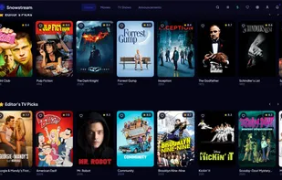 Snowstream screenshot 1