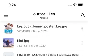 Aurora Files - Files list (mobile)