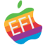 EasyEFI icon