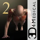 iMuscle 2 icon