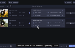 Movavi Video Converter screenshot 1