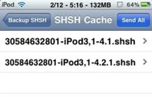 iSHSHit screenshot 3