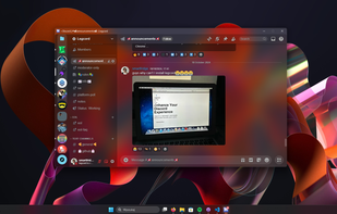 Legcord screenshot 1