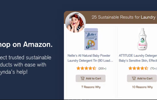 askBelynda screenshot 2