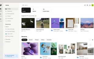 Dropbox screenshot 1