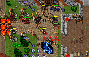 http://www.tibia.com/abouttibia/?subtopic=screenshots&currentscreenshot=35