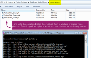 Bulk Image and Audio Merger screenshot 3