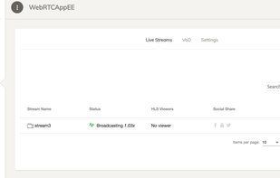 Ant Media Server screenshot 2