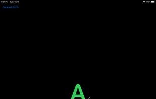 Zen Tuner screenshot 1