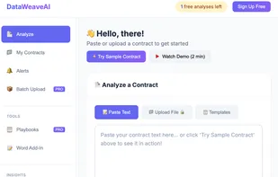 DataWeaveAI screenshot 1