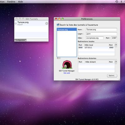 persistent ssh tunnel windows persistent ssh tunnel windows