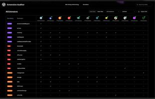 Extension Auditor screenshot 2