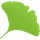 Gingko Writer icon