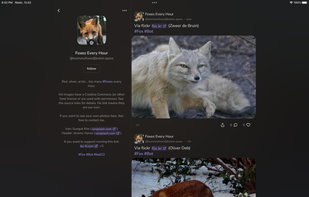 Takesama screenshot 1