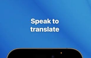 Translate Professional screenshot 3