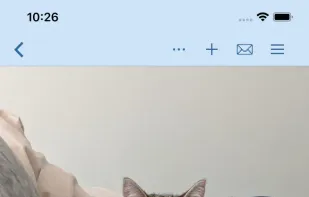 narwhal screenshot 3