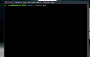 Stegextract screenshot 1