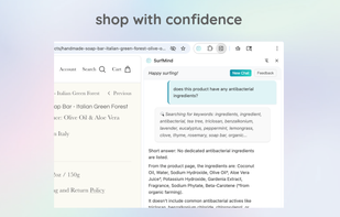 surfmind screenshot 2