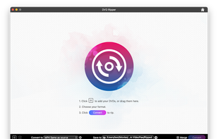 dvd ripper interface