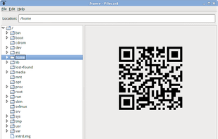 FileCast screenshot 1