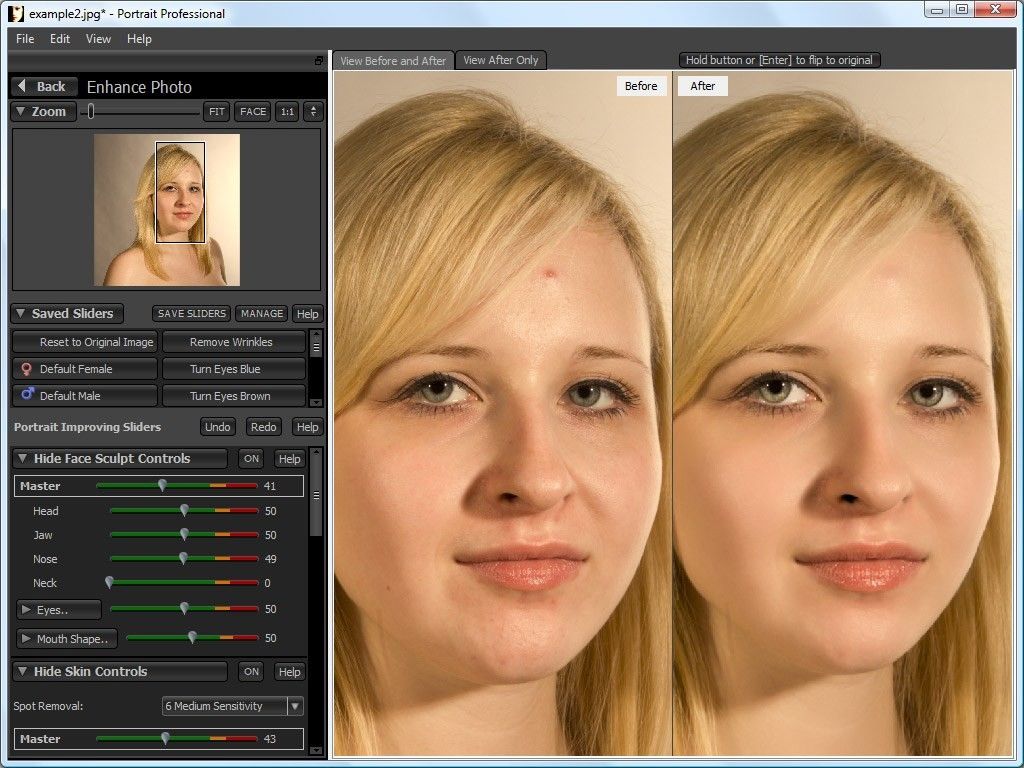 portrait professional similar software