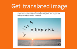 Translate Image screenshot 3