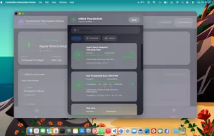 Connection Information Center screenshot 1