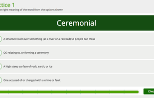 YoungCurrent screenshot 2