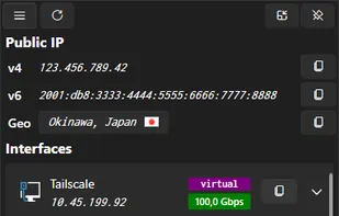 The NetIP network popup