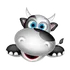 Medocow.com icon