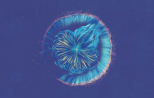 Lifelike: Chapter One screenshot 2