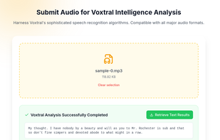 Voxtral Audio screenshot 1