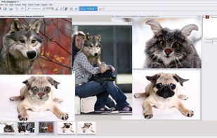 Version 7 with several images