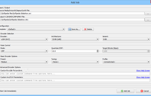 Simple x264 Launcher screenshot 1