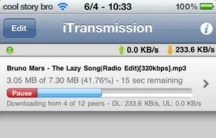 iTransmission screenshot 1