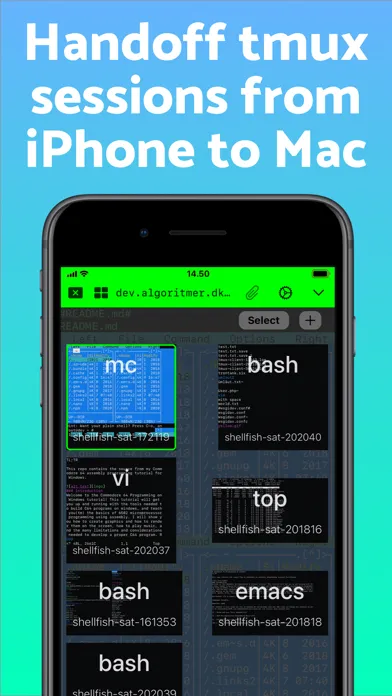 Secure ShellFish Alternatives: Top 12 Terminal Emulators | AlternativeTo