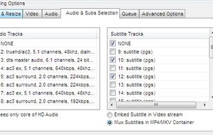 HDConvertToX screenshot 3