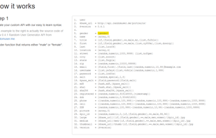 RandomAPI screenshot 1