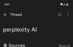 Perplexity screenshot 2