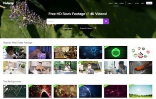 Videezy screenshot 1