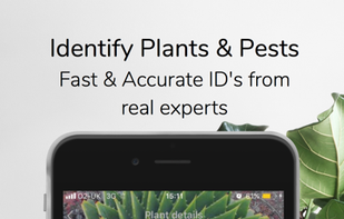 SmartPlant screenshot 1