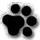 OnionCat icon