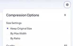 compression options