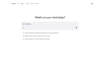 Google Search screenshot 2